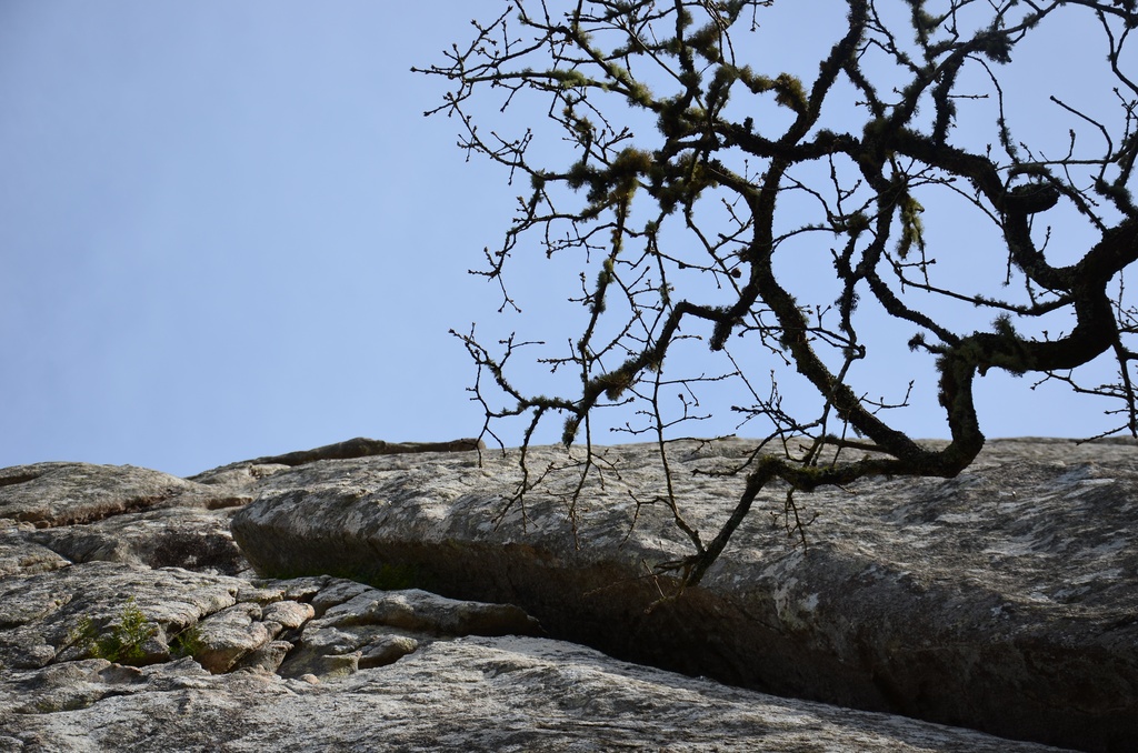 2018-02 Lisbon/Sintra/DSC_0405.JPG